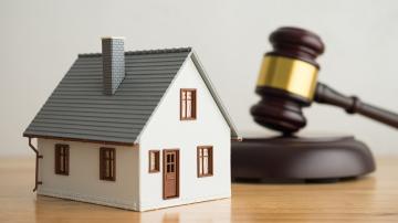 Tax Auction
