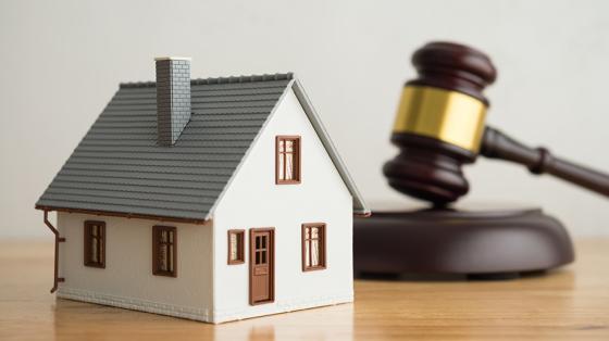 Tax Auction